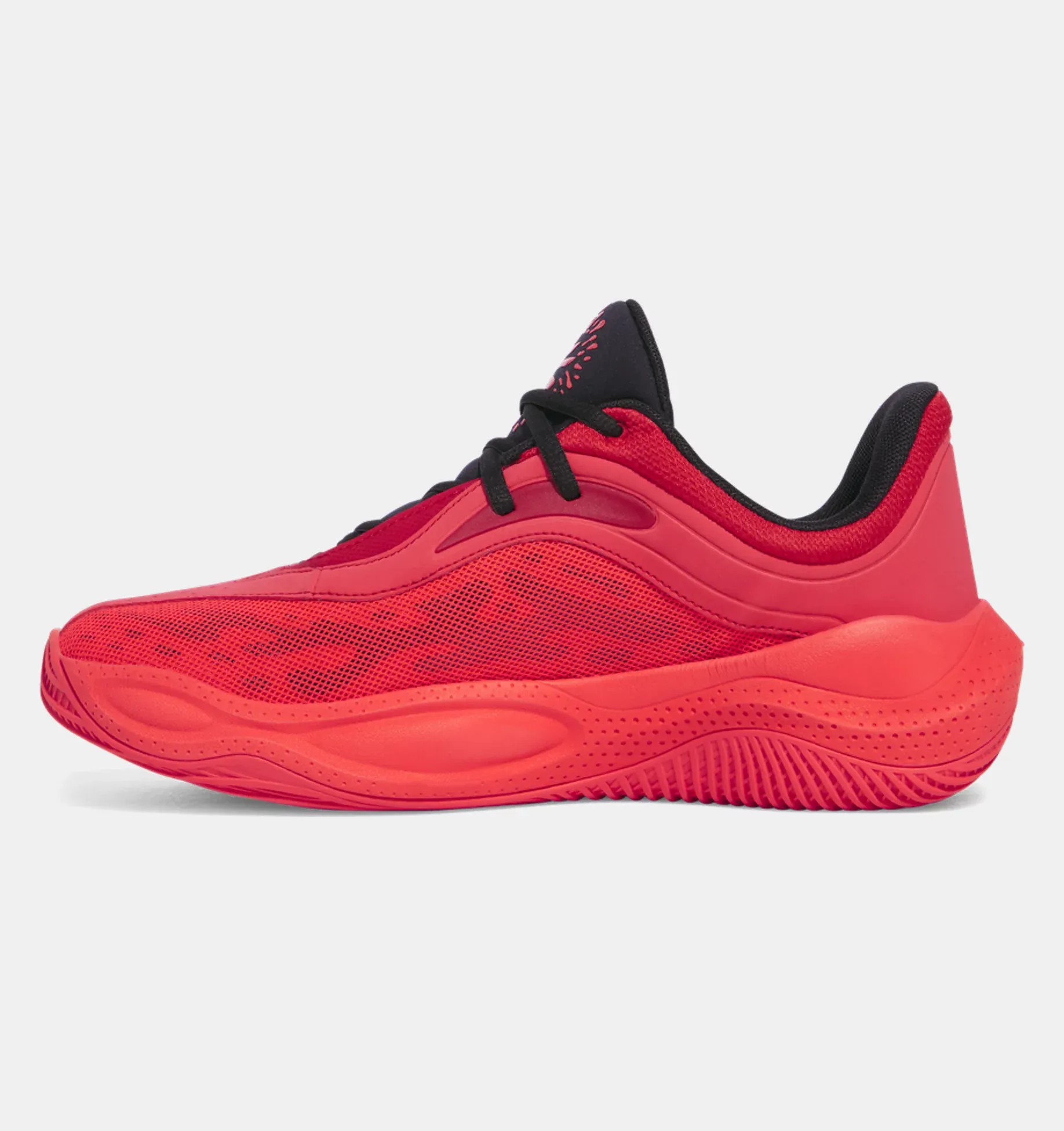 Curry Splash 25