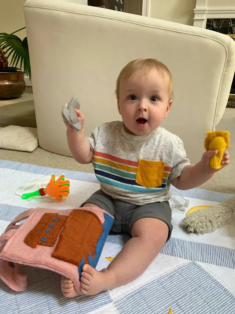 Handmade Felt Puppet Bags for Kids!